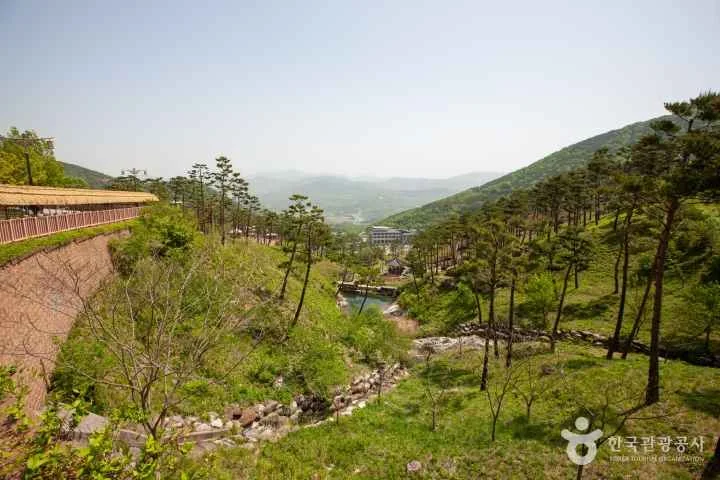 동의보감촌의 산책길과 정원
